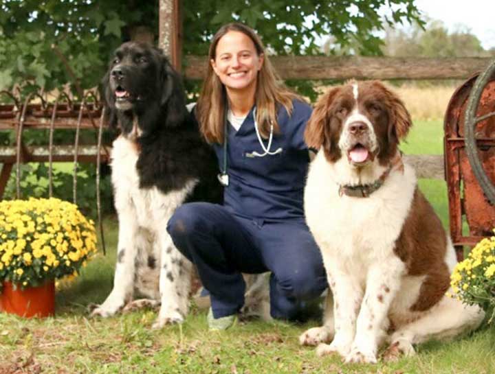 Now Offering PennHIP Evaluations!