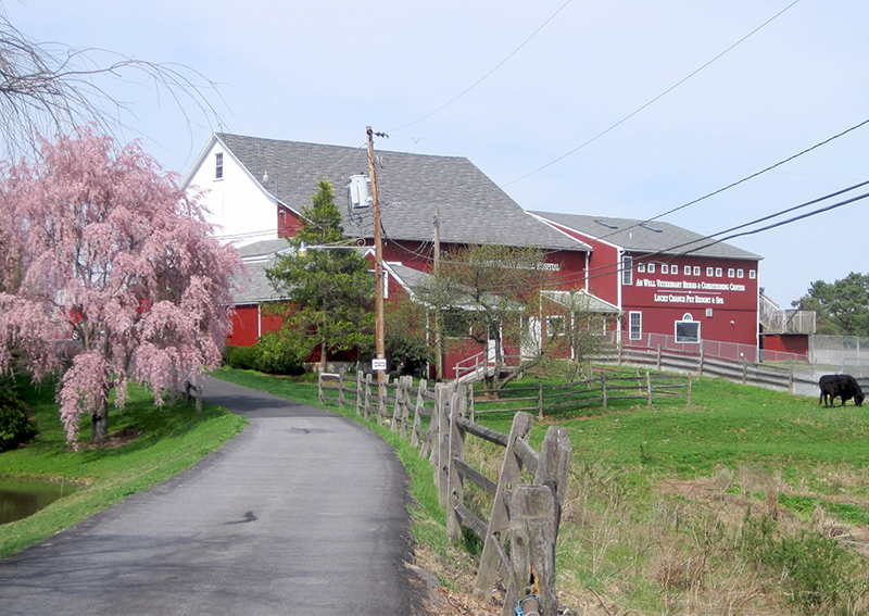 Carousel Slide 2: Visit our Boarding Facility